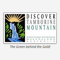 Discover Tamborine Mountain | 22 Wongawallan Rd, Tamborine QLD 4272, Australia | Phone: 0488 826 267