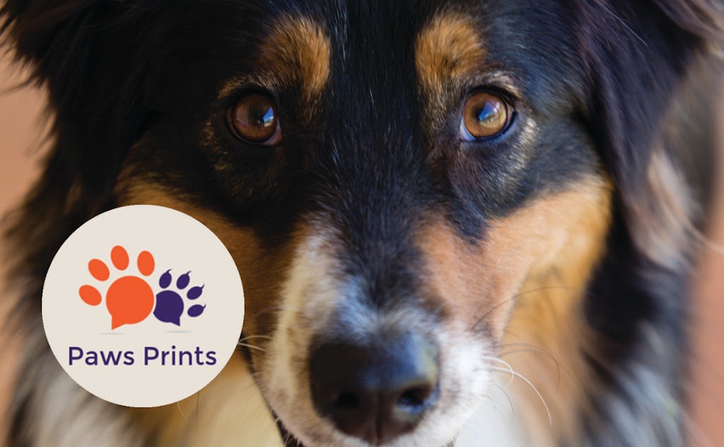 Paws Prints | 5 Chidgey St, Cessnock NSW 2325, Australia | Phone: 0427 415 294