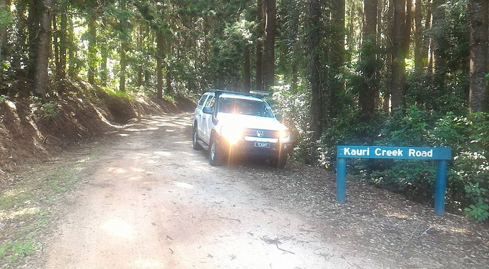 Kauri Creek Campground | campground | Kauri Creek Access Road, Danbulla QLD 4872, Australia | 137468 OR +61 137468