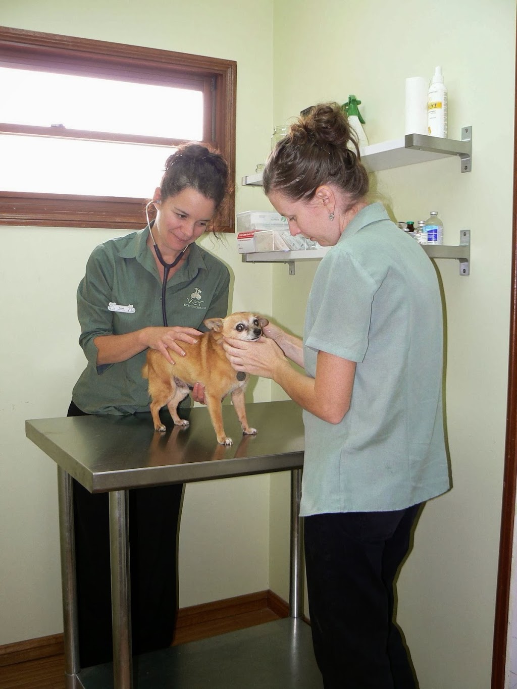 The Grange Vet Clinic | veterinary care | Northcliffe Drv, Kembla Grange NSW 2526, Australia | 0242726030 OR +61 2 4272 6030