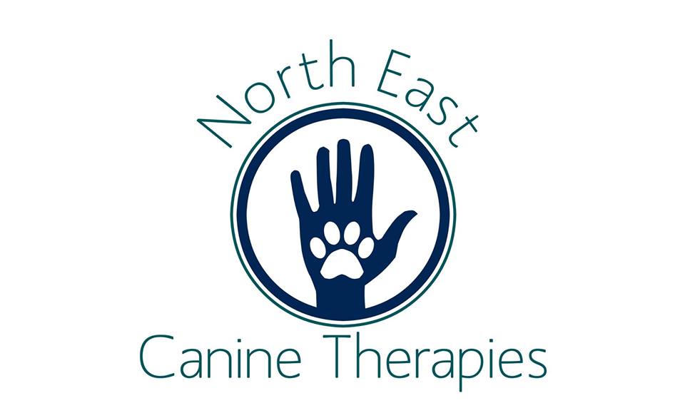 North East Canine Therapies | 265 Mt Buller Rd, Mansfield VIC 3722, Australia | Phone: 0472 642 400