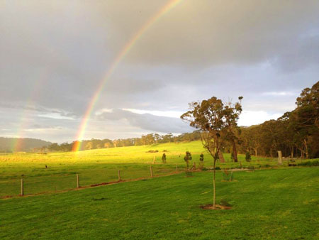 Full Circle Mowing | 71 Tennessee Rd N, Lowlands WA 6330, Australia | Phone: 0429 451 235