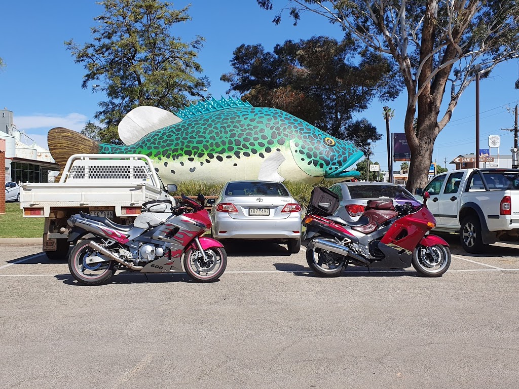 The Giant Murray Cod | 139 Curlewis St, Swan Hill VIC 3585, Australia | Phone: (03) 5036 2333