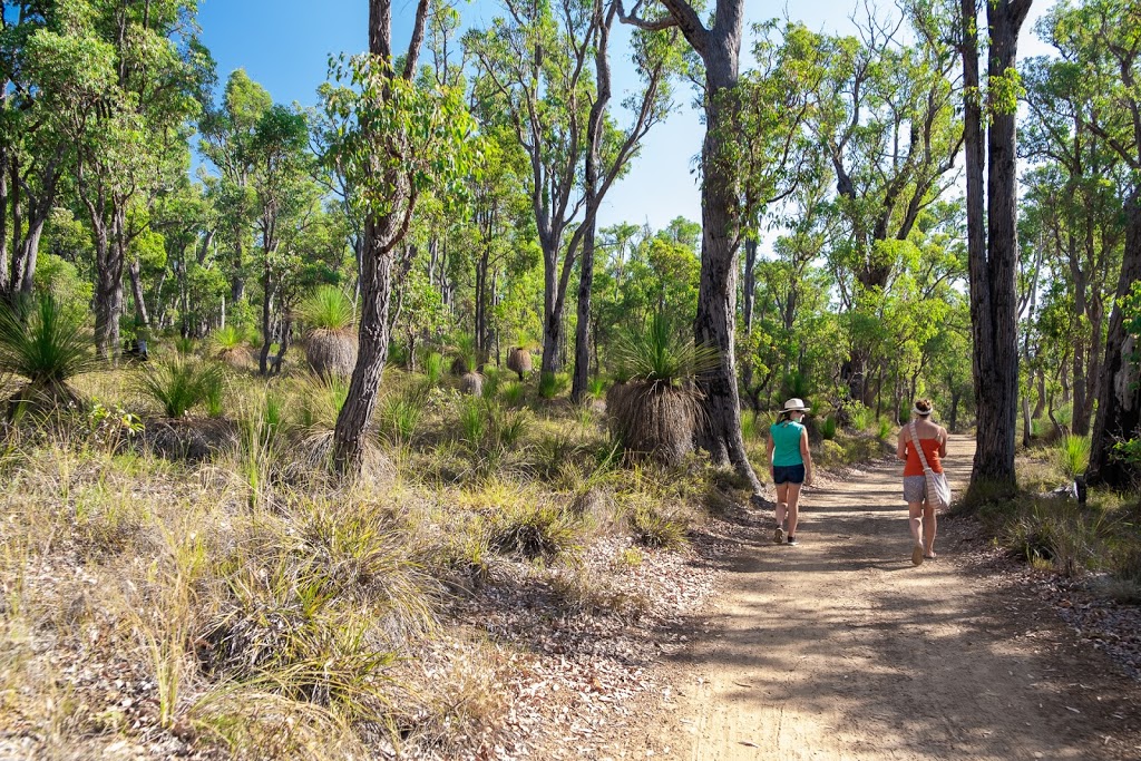 Lake Leschenaultia Campground & Reflections Cafe | 2134 Rosedale Rd, Chidlow WA 6556, Australia | Phone: 92906645