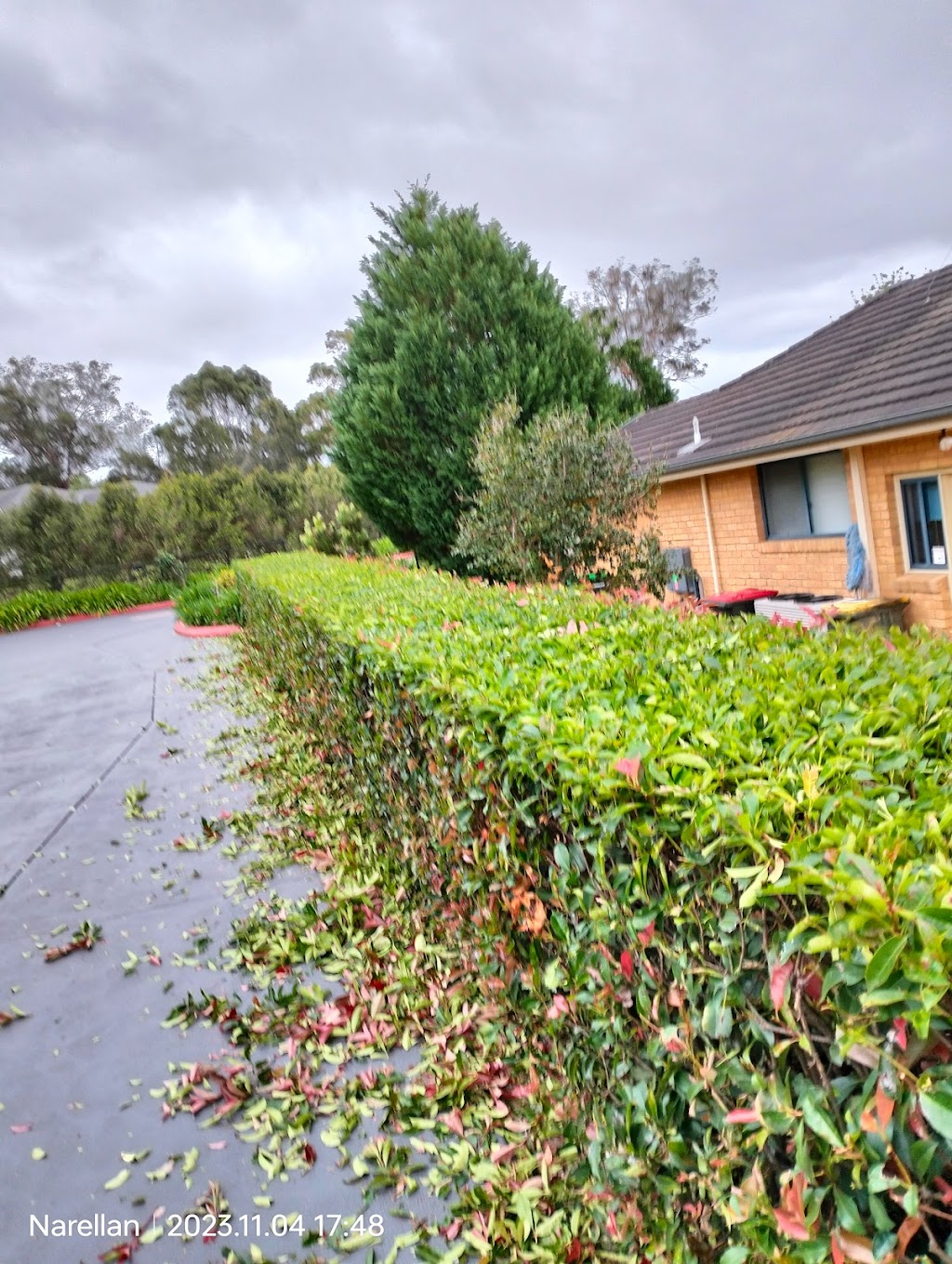 Beaus yardcare | 94 Willmington Rd, Luddenham NSW 2745, Australia | Phone: 0491 148 844