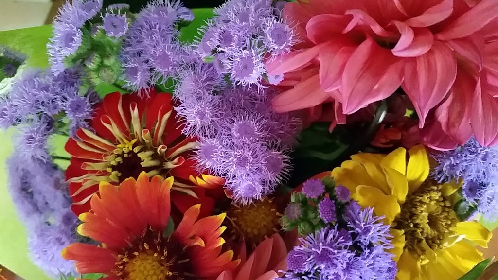 FLOWERS IN SEASON | florist | 225 Cordeaux Rd, Mount Kembla NSW 2526, Australia | 0423385448 OR +61 423 385 448
