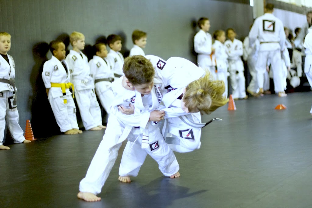Galeb Brothers Brazilian Jiu-Jitsu Baulkham Hills | 14 Hill St, Baulkham Hills NSW 2153, Australia | Phone: 0415 765 155