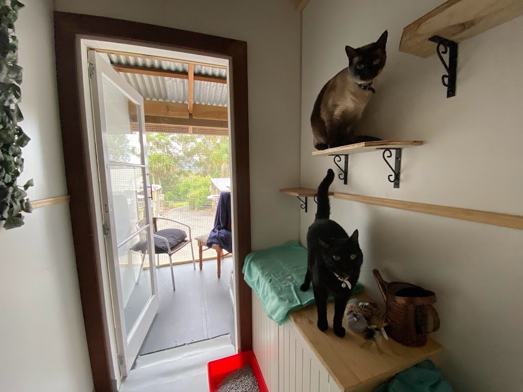 Luxury Cat Lodge - Cat Boarding Cattery Central Coast | 387 Central Coast Hwy, Erina Heights NSW 2260, Australia | Phone: (02) 4314 6654