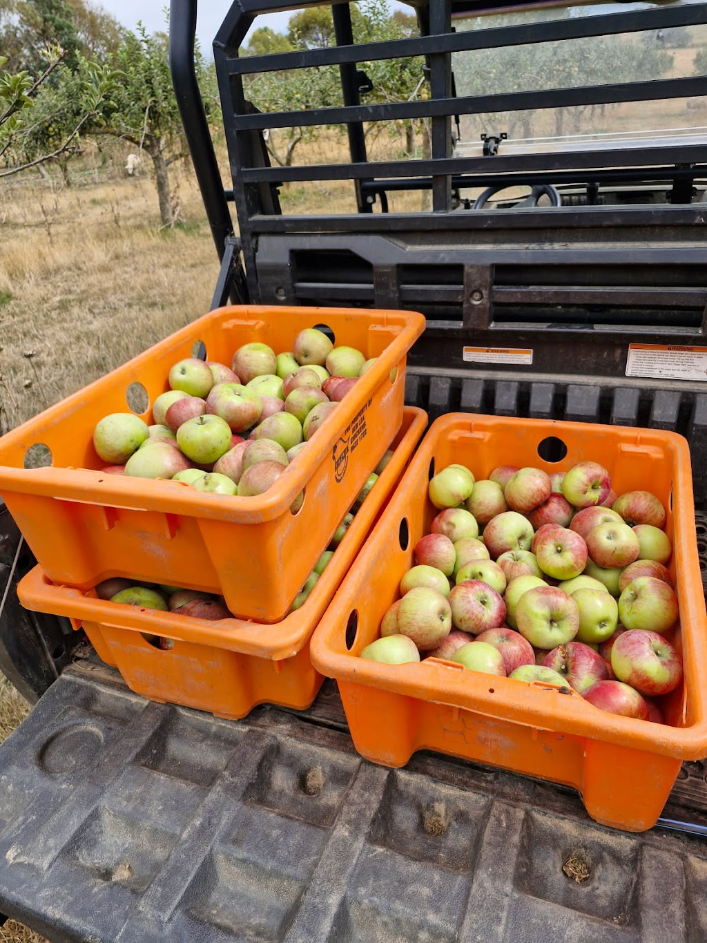 Fardon & Sons Organics | 225 Marshalls Ln, Blayney NSW 2799, Australia | Phone: 0427 148 009