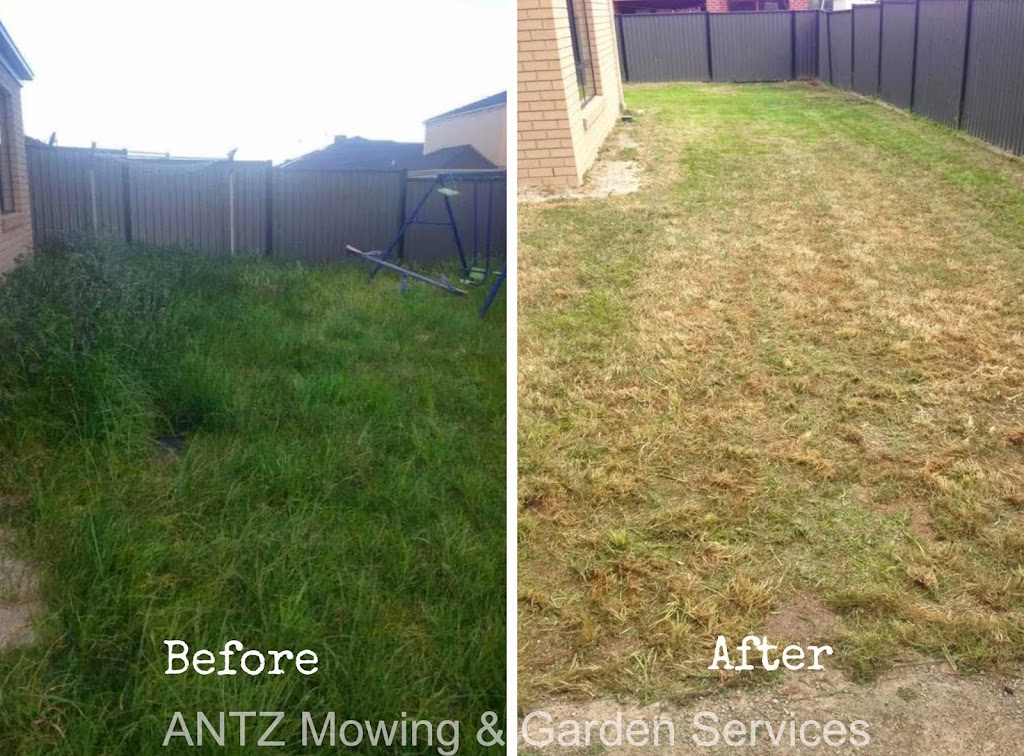 Antz Mowing & Garden Services | Tall Tree Rd, Lethbridge VIC 3332, Australia | Phone: 0422 248 971