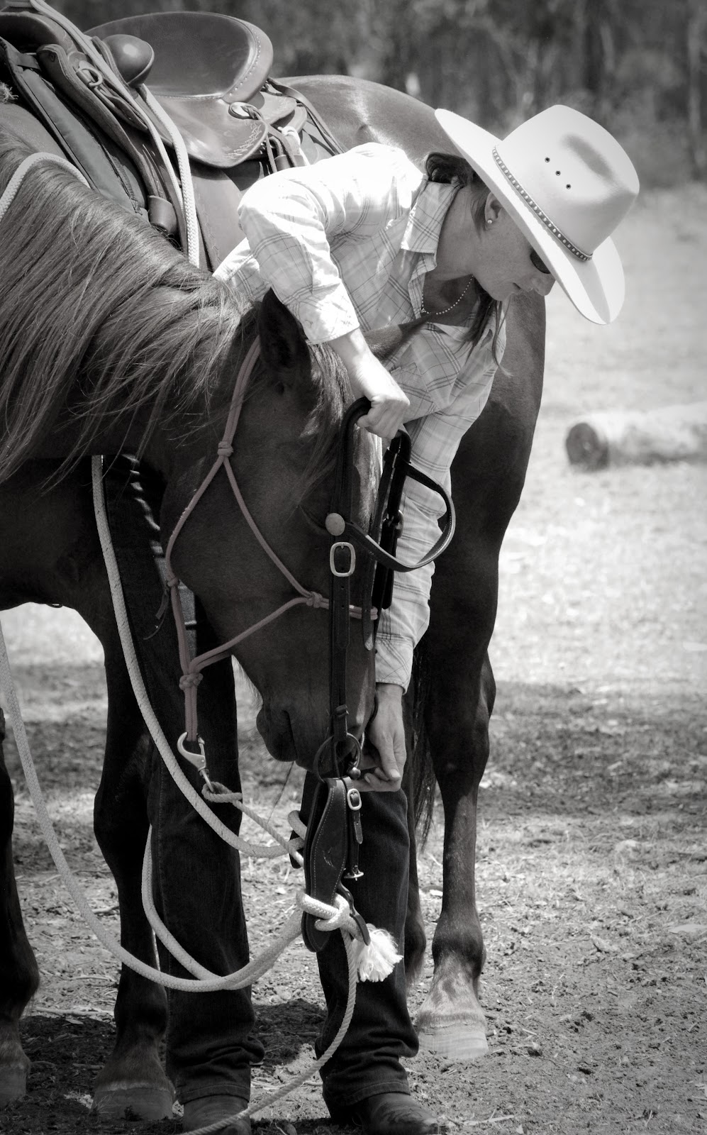 Cavallo Acres Horsemanship | Baldwin Rd, Harston VIC 3616, Australia | Phone: 0417 302 061