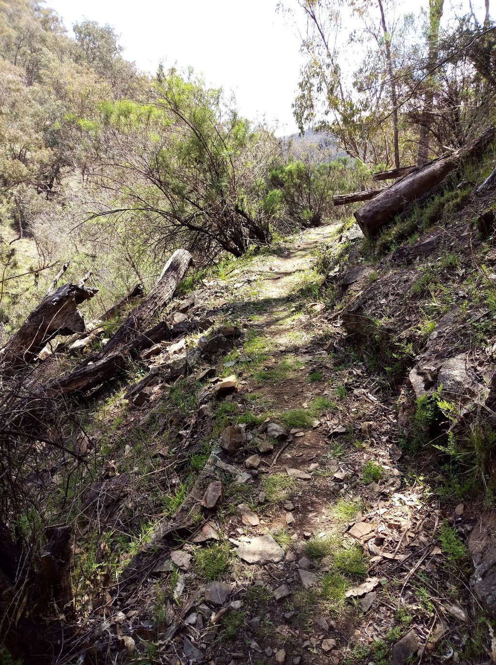 Bogandyera Nature Reserve | Tooma NSW 2642, Australia