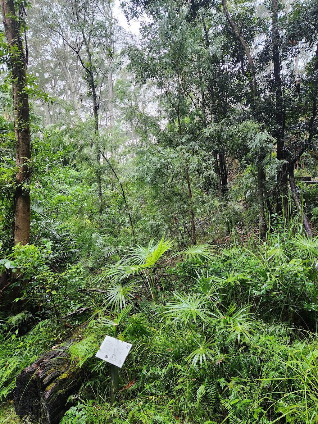 Bundilla Caravan Park | 83 Durras Rd, Durras North NSW 2536, Australia | Phone: (02) 4478 6013