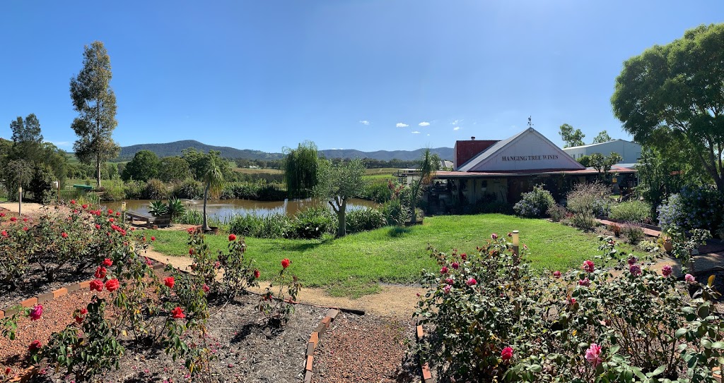 Hanging Tree Wines | lodging | 294 OConnors Rd, Pokolbin NSW 2320, Australia | 0249986608 OR +61 2 4998 6608