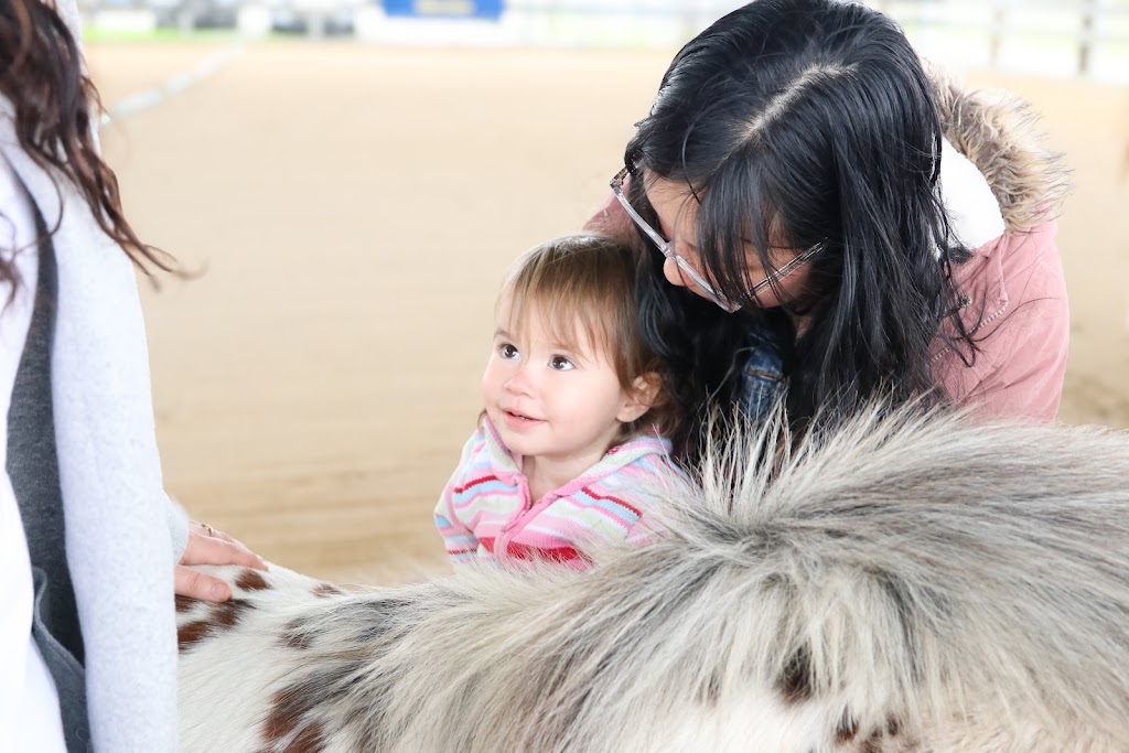 Able Life Hub | 85 Adeneys Rd, Devon Meadows VIC 3977, Australia | Phone: 0457 411 544