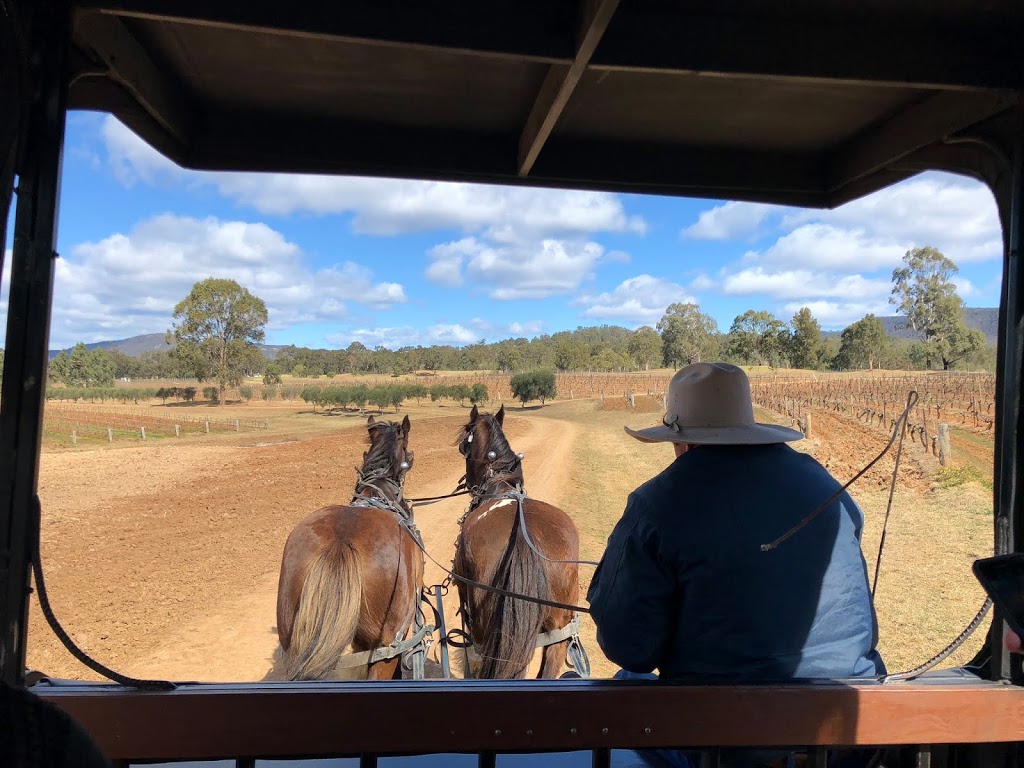 Hunter Valley Horses | 917 Hermitage Rd, Pokolbin NSW 2320, Australia | Phone: 0431 337 367