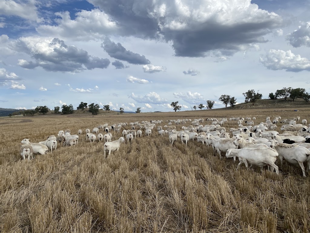 The Stables Farmhouse | 1004 Amaroo Way, Eugowra NSW 2806, Australia | Phone: 0438 159 200