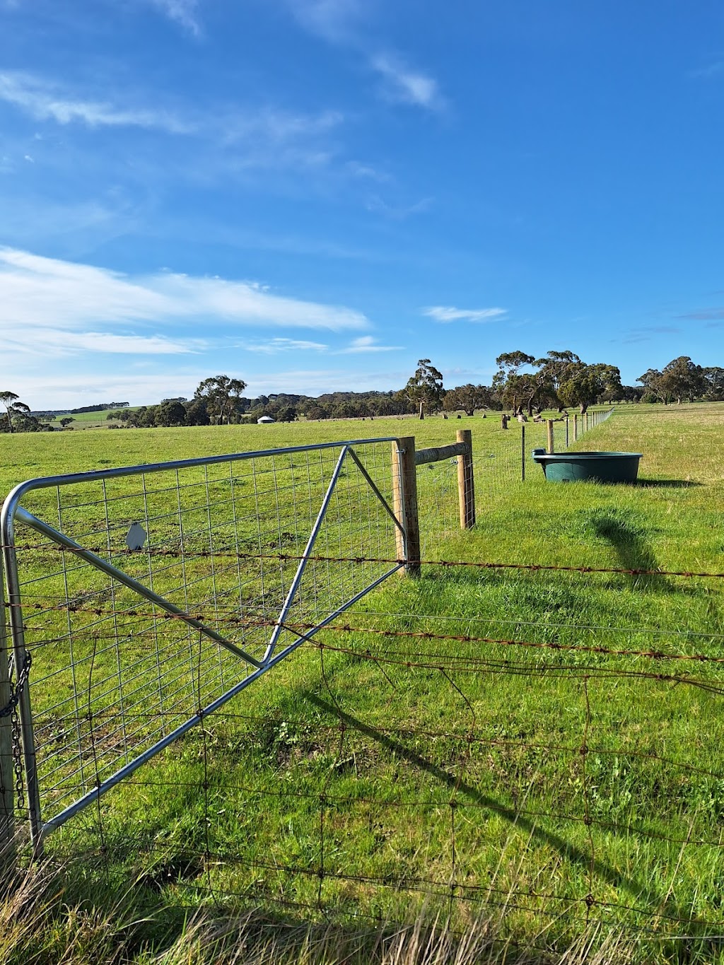 B.E Rural Fencing Winchelsea | 33 Batson St, Winchelsea VIC 3241, Australia | Phone: 0417 381 310