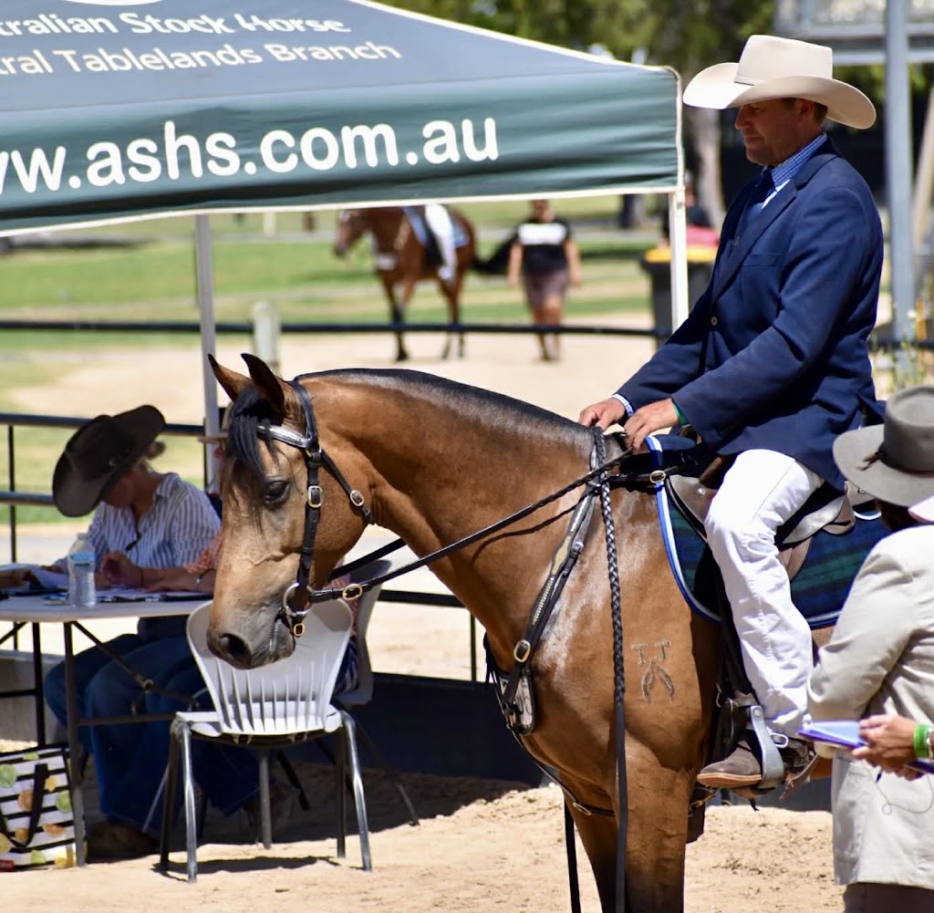 Voller Park Breaking & Training | 126 Halloran Rd, North Arm Cove NSW 2324, Australia | Phone: 0413 454 865