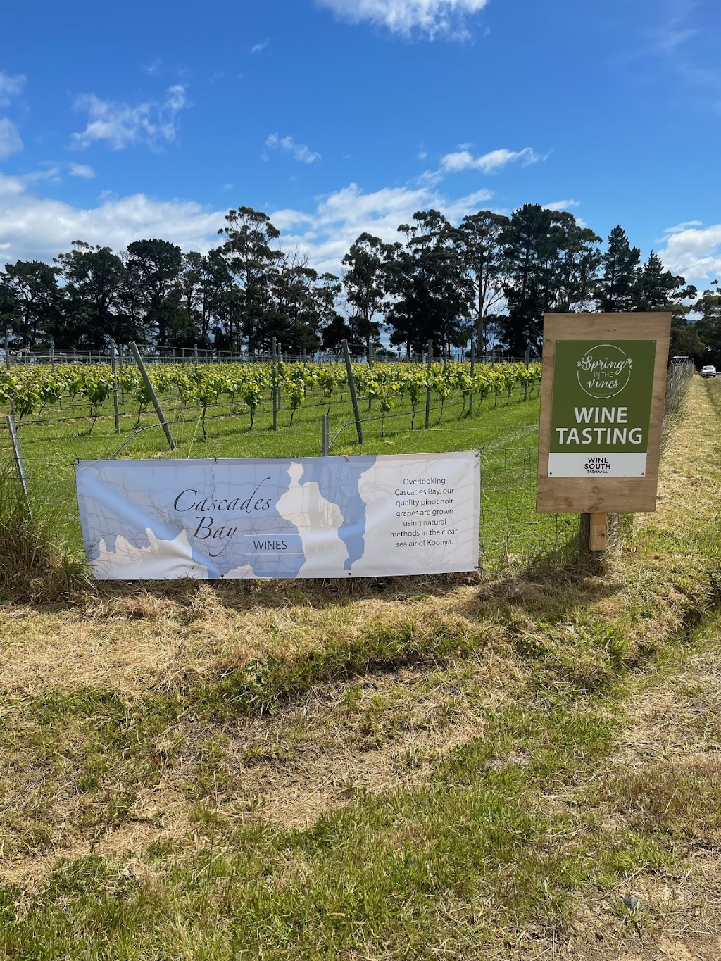 Cascades Bay Wines | 35 Shelly Beach Rd, Koonya TAS 7187, Australia | Phone: 0417 382 680