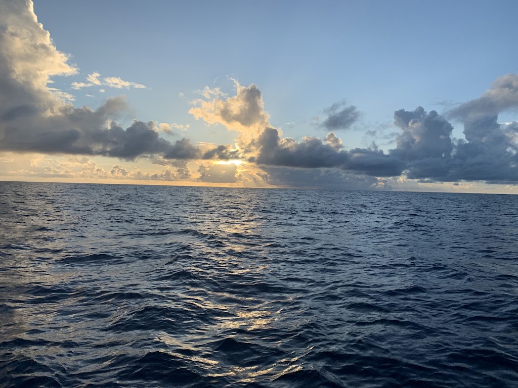 Keppel Bay SportFishing Club | 117 Emu Parade, Barmaryee QLD 4703, Australia | Phone: 0419 764 606