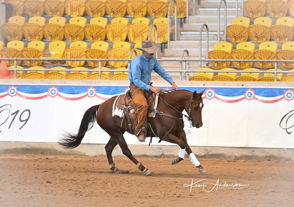 Rob Leach Equine | Yallambie, 201 Inlet Rd, Attunga NSW 2345, Australia | Phone: 0487 802 658