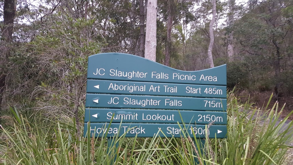 J.C. Slaughter Falls | park | 38 Sir Samuel Griffith Dr, Mount Coot-Tha QLD 4066, Australia | 0734038888 OR +61 7 3403 8888