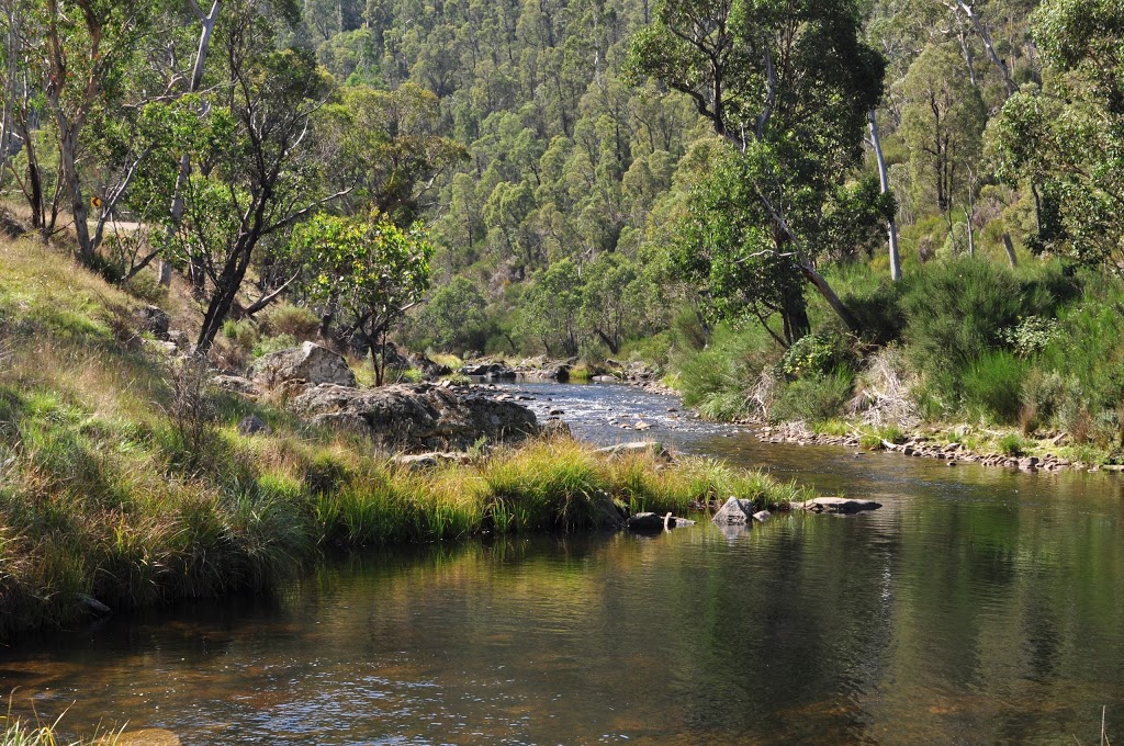 Middle Creek Camping Area | campground | 2 Omeo Hwy, Little River VIC 3211, Australia