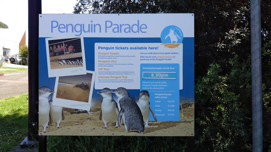 Phillip Island Visitor Information Centre | travel agency | 895 Phillip Island Tourist Road, Newhaven VIC 3925, Australia | 1300366422 OR +61 1300 366 422