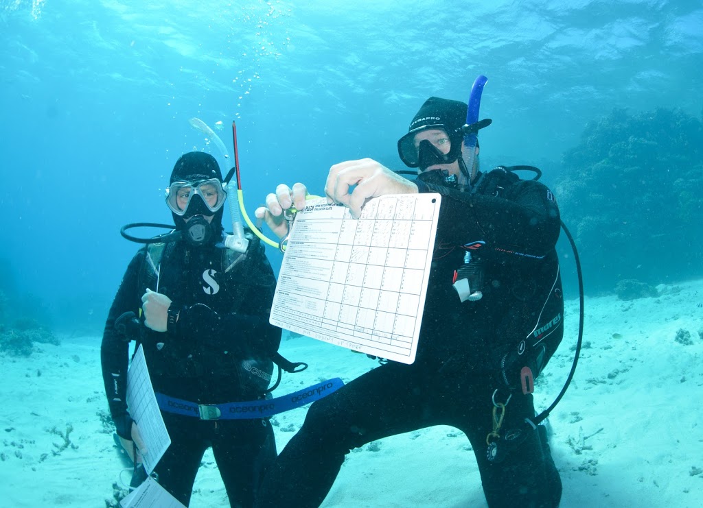 Dive Instructor | 44 Wharf St, Port Douglas QLD 4877, Australia | Phone: 0419 172 910