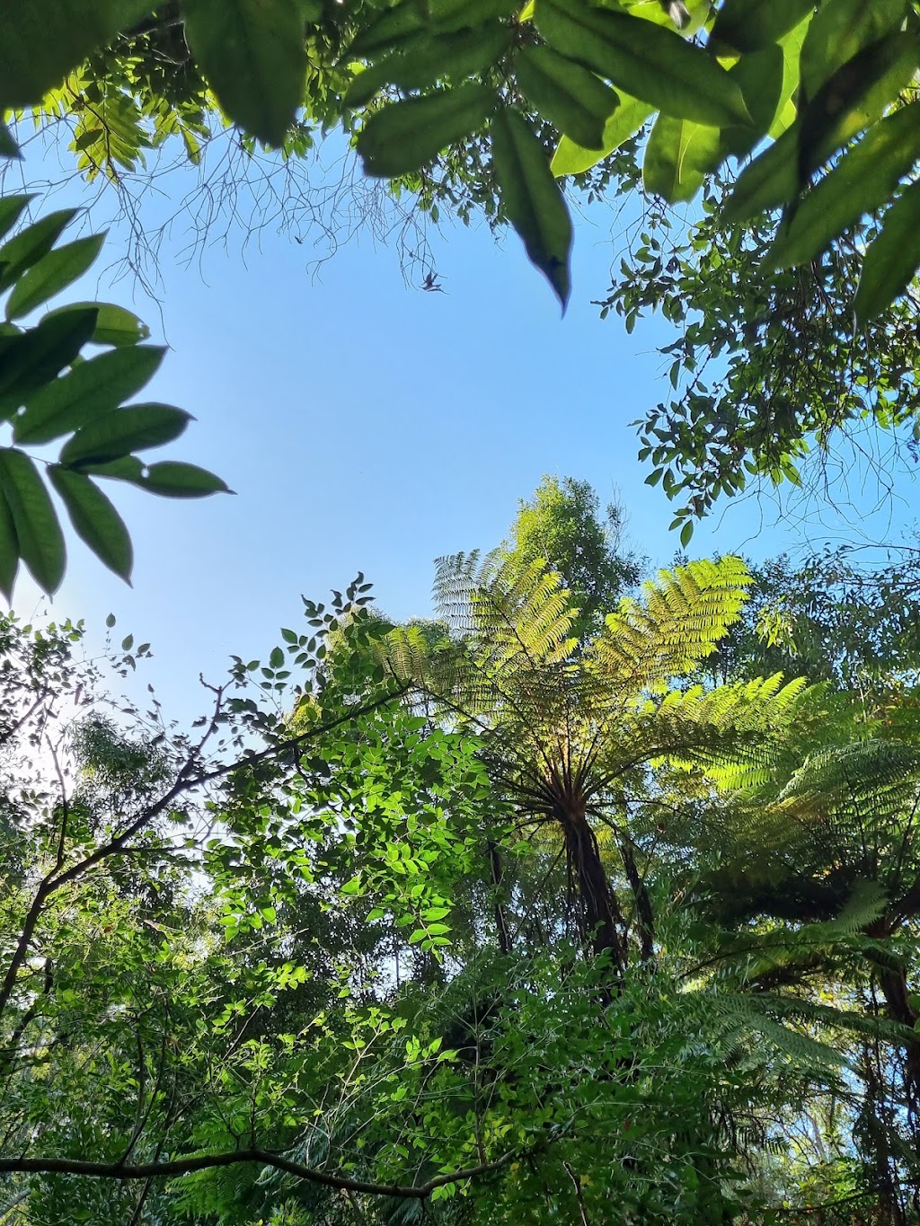 Sanctuary of the Wild | Latina Ave, Seven Hills QLD 4170, Australia | Phone: 0417 616 256