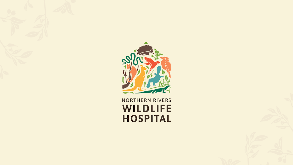 Northern Rivers Wildlife Hospital | 50 Lindendale Rd, Wollongbar NSW 2477, Australia | Phone: (02) 5657 9447