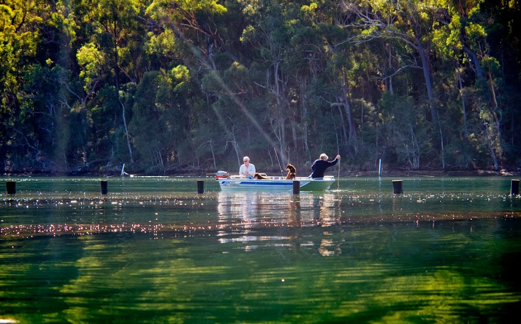 Bangalay Cottage and Apartment | 664 Wagonga Scenic Dr, Narooma NSW 2546, Australia | Phone: (02) 4476 1260