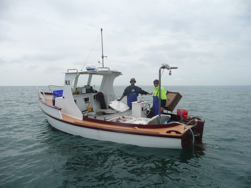 White Fisheries | 1/35-39 Murradoc Rd, Drysdale VIC 3222, Australia | Phone: (03) 5251 2496