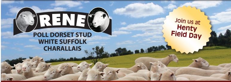 Rene Stud |  | Rockwood, Culcairn NSW 2660, Australia | 0428297171 OR +61 428 297 171