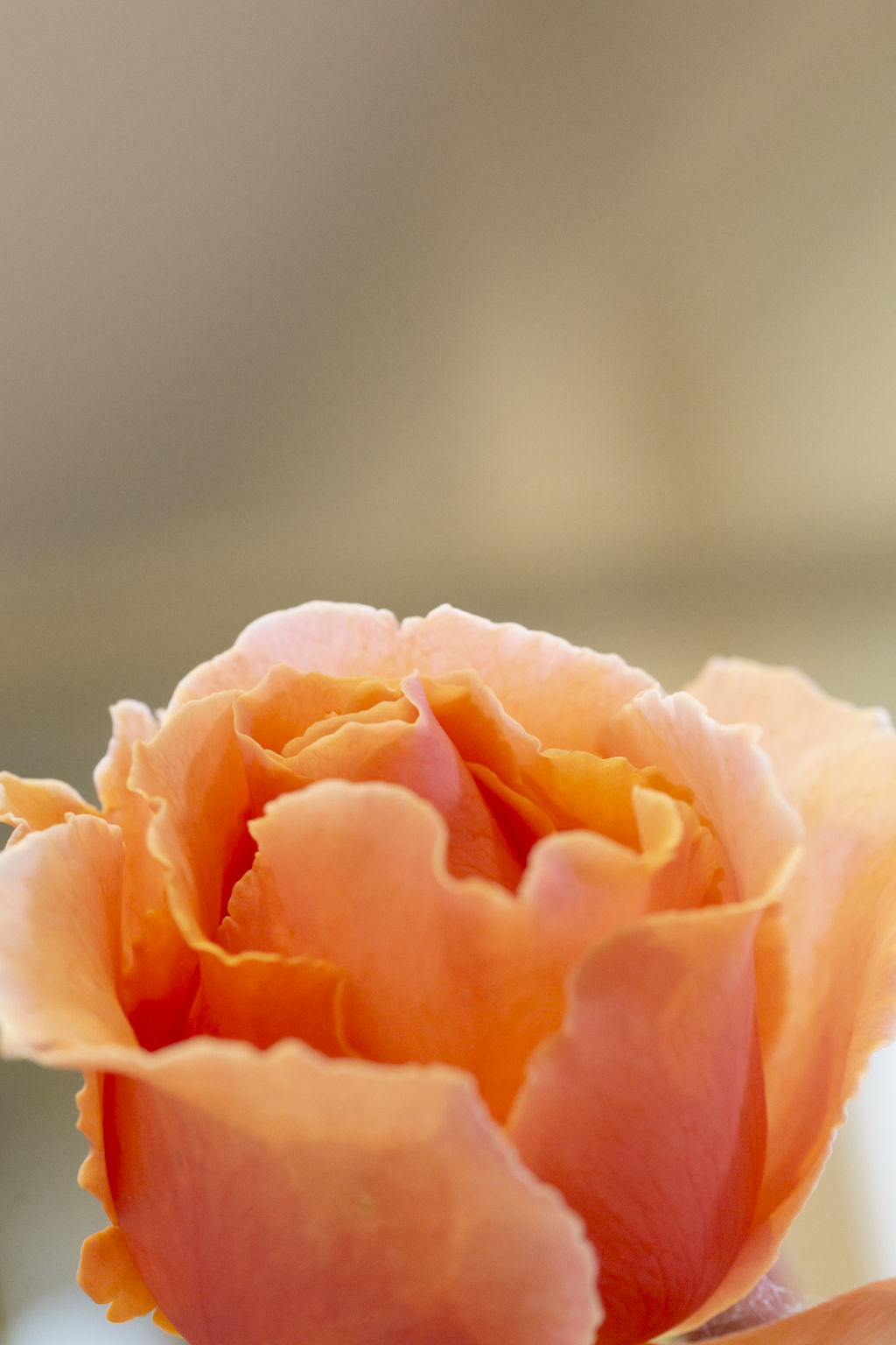 Brett Allen Photography | 66 Dickson St, Bacchus Marsh VIC 3340, Australia | Phone: 0400 610 036