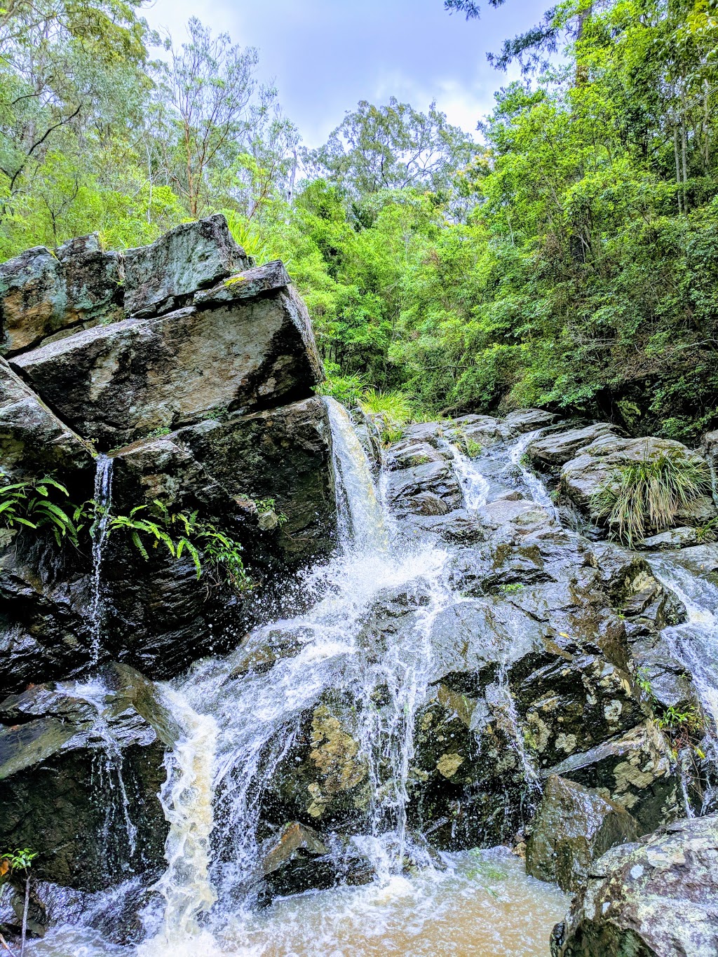 J.C. Slaughter Falls | park | 38 Sir Samuel Griffith Dr, Mount Coot-Tha QLD 4066, Australia | 0734038888 OR +61 7 3403 8888