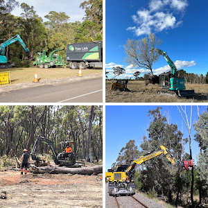 TreeLink Northern Rivers | 48 Orana Rd, Ocean Shores NSW 2483, Australia | Phone: 0499 550 396