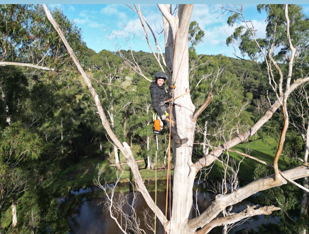 Coopers Trees | Main St, Gembrook VIC 3783, Australia | Phone: 0488 059 902