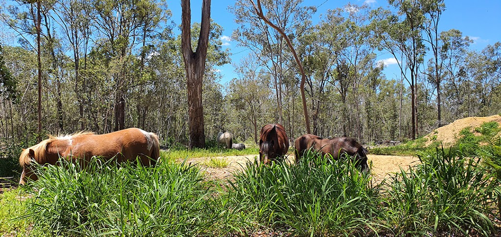 Somerset Valley Farm - STRATHALLAN | 137 Willaura Dr, Coominya QLD 4311, Australia | Phone: 0413 422 511