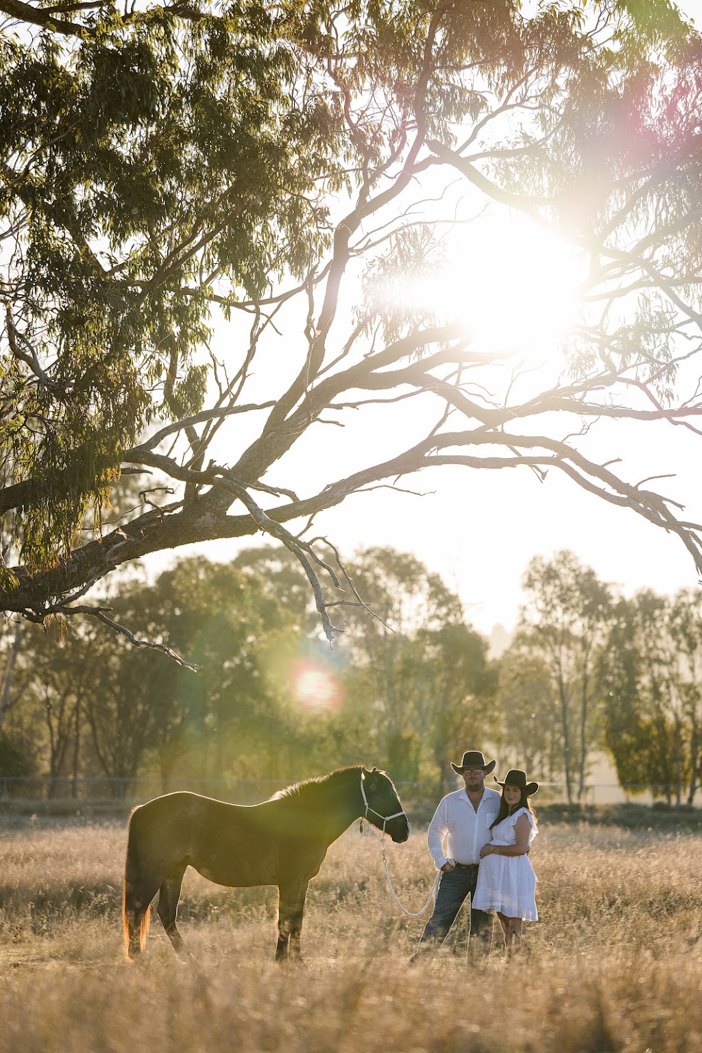 Lux Images | 11 Equestrian Ct, Highvale QLD 4520, Australia | Phone: 0418 303 333