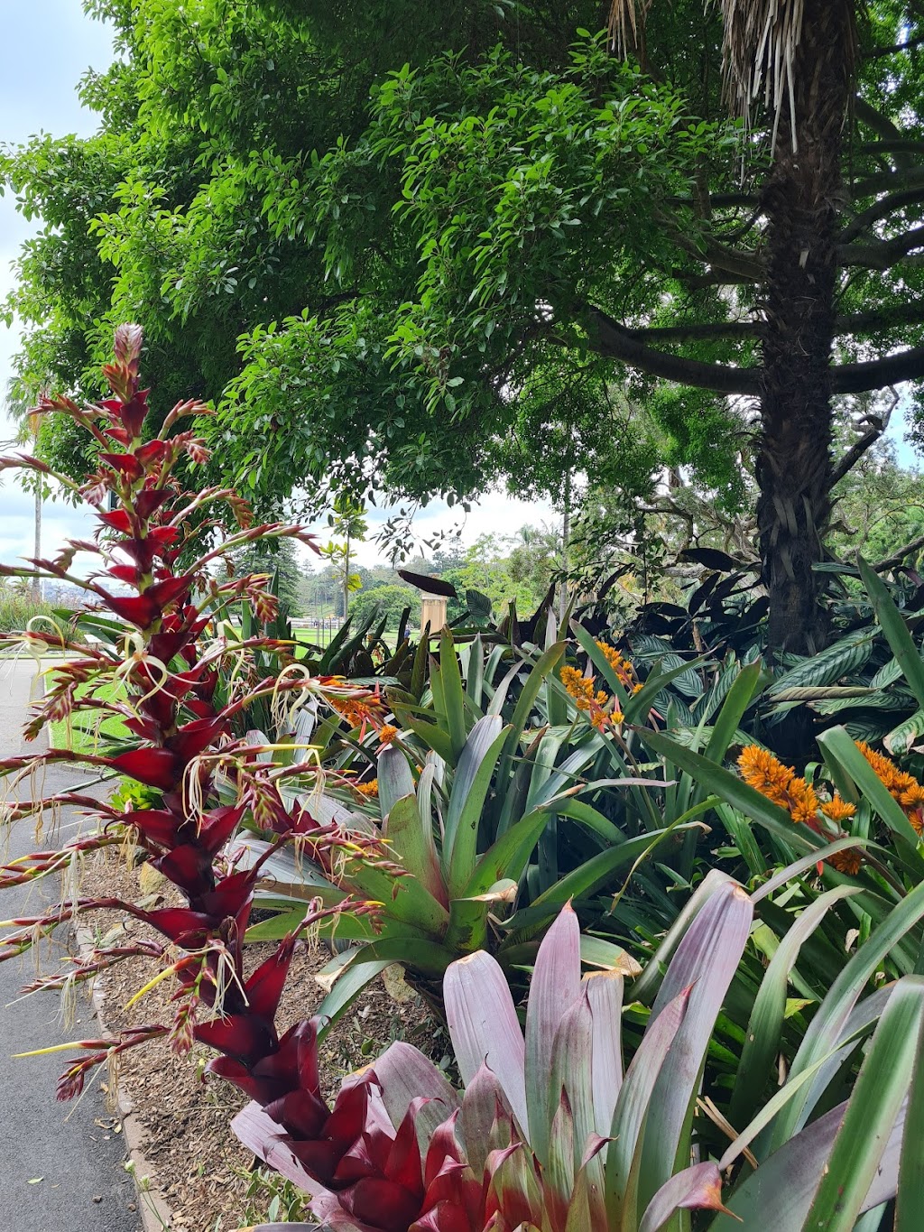 Farm Cove Eatery | Mrs Macquaries Rd, Sydney NSW 2000, Australia | Phone: 1300 558 980