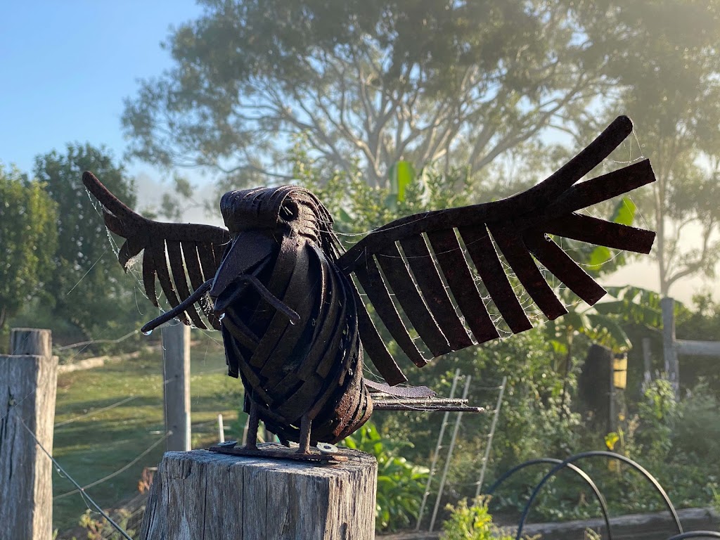 Kirar Nulla Family Farm | 59 Kaylene Ct, Royston QLD 4515, Australia | Phone: 0409 068 016
