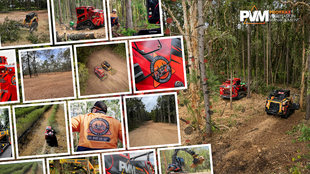 Protrax Vegetation Management | Twin View Rd, Elimbah QLD 4516, Australia | Phone: 0405 816 527