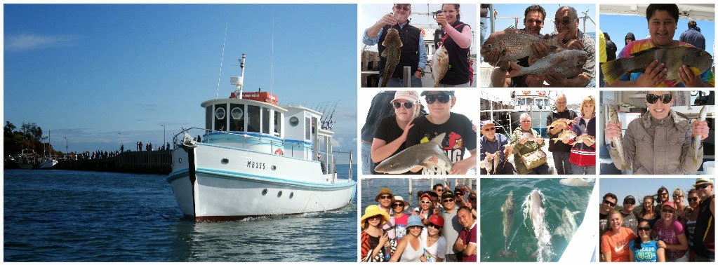 Bay Fish N Trips |  | Mornington Pier, Schnapper Point Dr, Mornington VIC 3931, Australia | 0418349364 OR +61 418 349 364