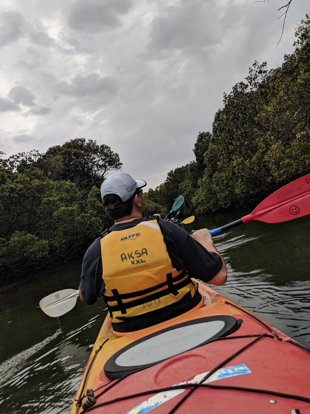 Adventure Kayaking SA| Port River Dolphins | LOT 204 Garden Island Rd, Port Adelaide SA 5015, Australia | Phone: 0429 019 141