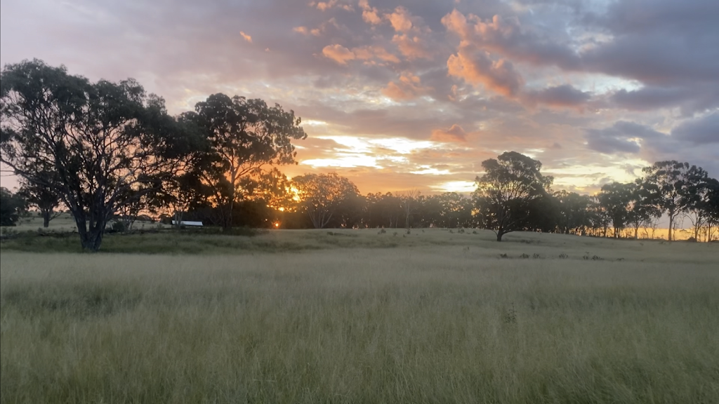 Kaka’s Ranch | 2087 Rabbit Fence Rd, Passchendaele QLD 4380, Australia | Phone: 0431 897 429