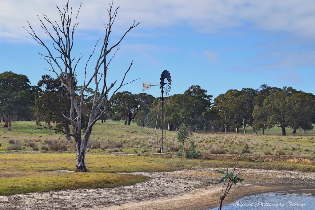 Charleston Conservation Park | Park Rd, Charleston SA 5244, Australia | Phone: (08) 8336 0901