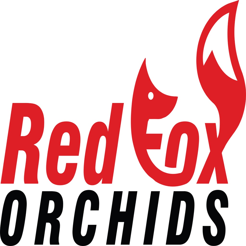 Red Fox Orchids | 191 Dances Rd, Caboolture QLD 4510, Australia | Phone: 0437 937 505