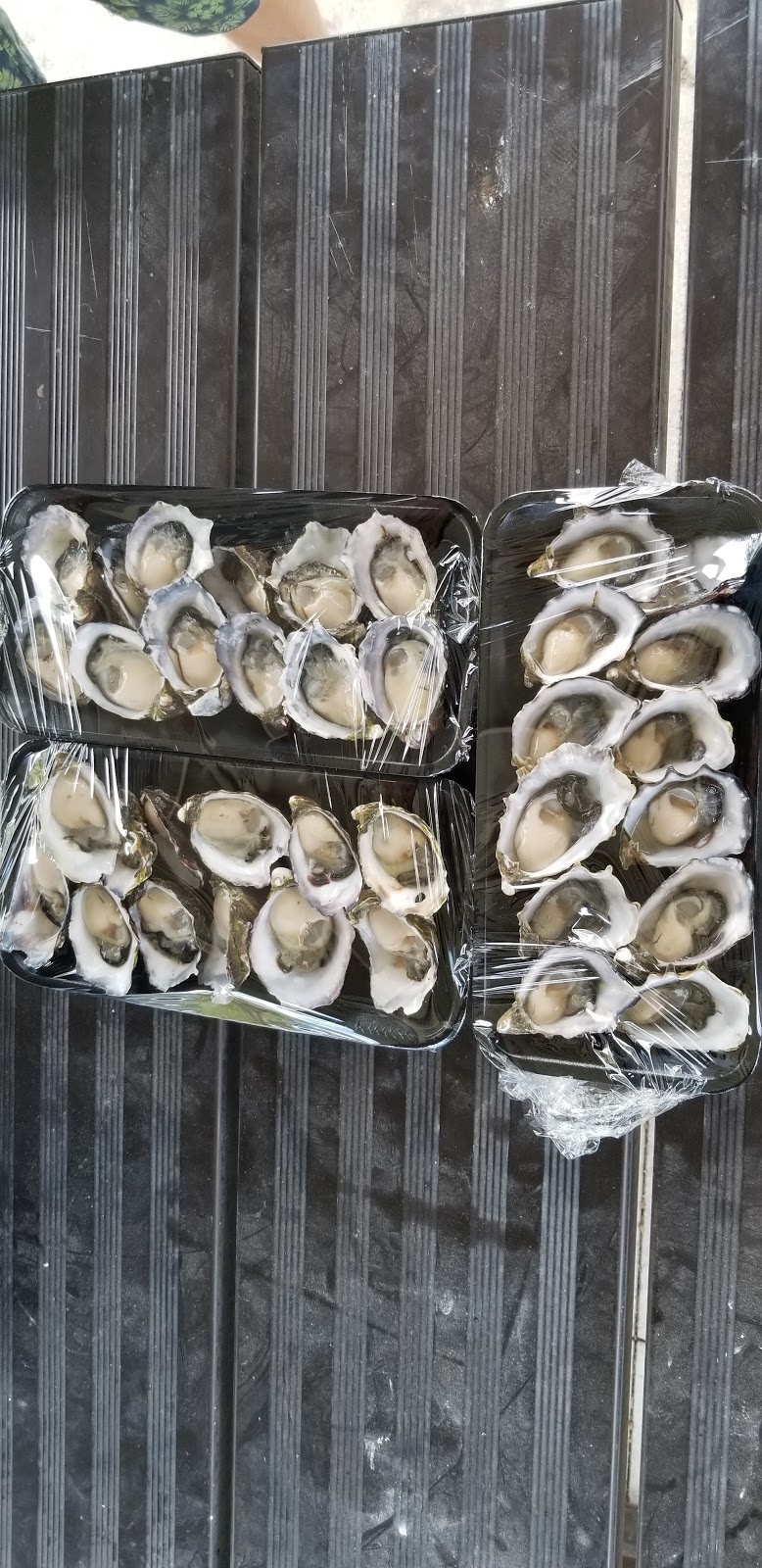 Shuck It | restaurant | 7/1214 Lytton Rd, Hemmant QLD 4174, Australia | 0413674100 OR +61 413 674 100